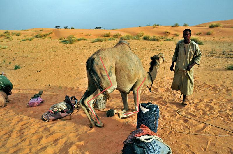 Mauritania